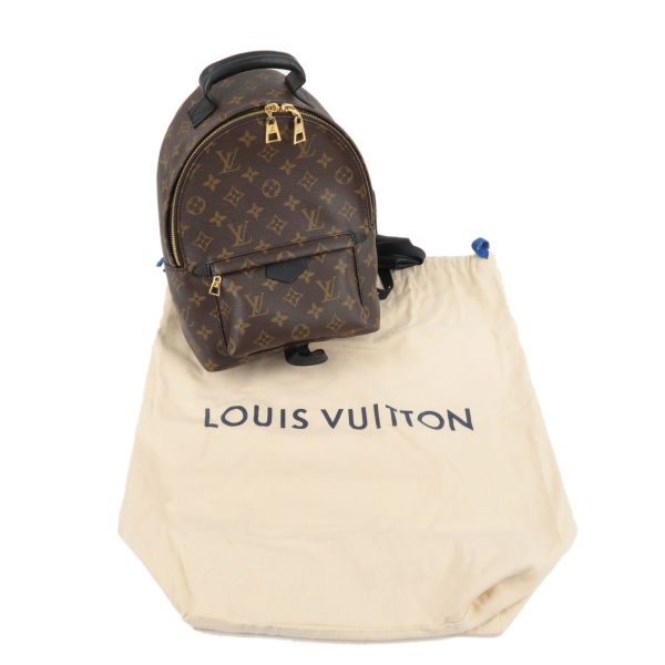 11 Louis Vuitton Monogram Palm Springs Back Pack PM