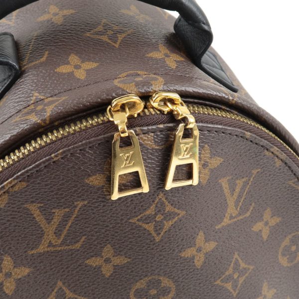 7 Louis Vuitton Monogram Reverse Palm Springs Back Pack PM