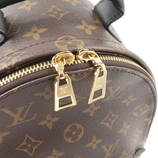 7 Louis Vuitton Monogram Palm Springs Back Pack PM