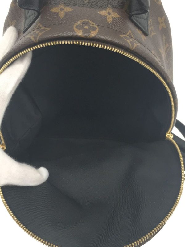 6 Louis Vuitton Palm Spring Backpack PM Reverse Monogram