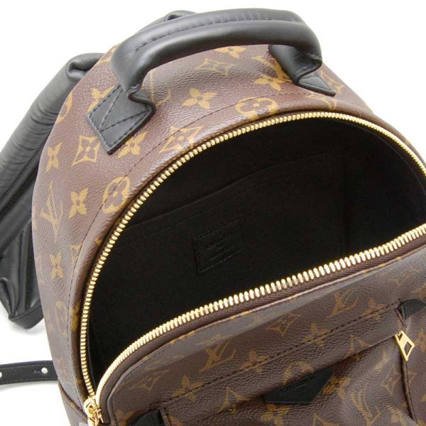 4 Louis Vuitton Palm Springs Backpack PM Monogram