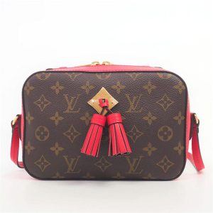 1 Louis Vuitton Triana Damier Ebene Shoulder Bag