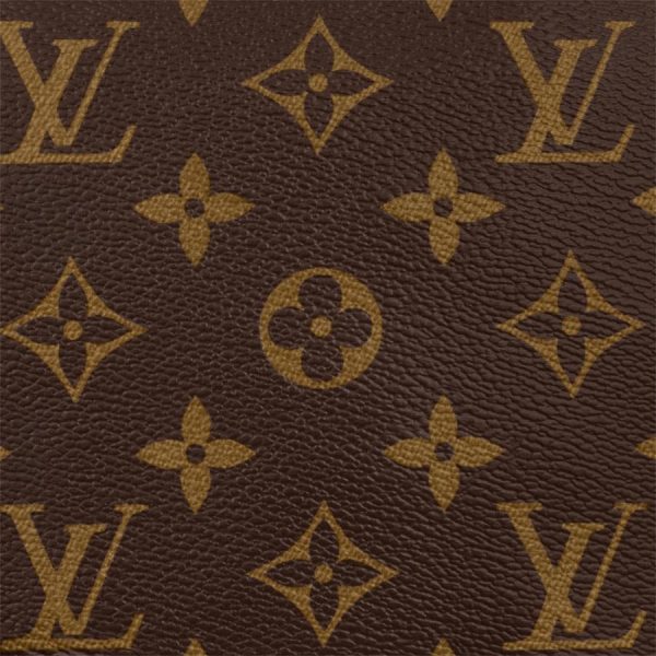 5 Louis Vuitton Bumbag Body Bag Brown Black Monogram Macassar Canvas