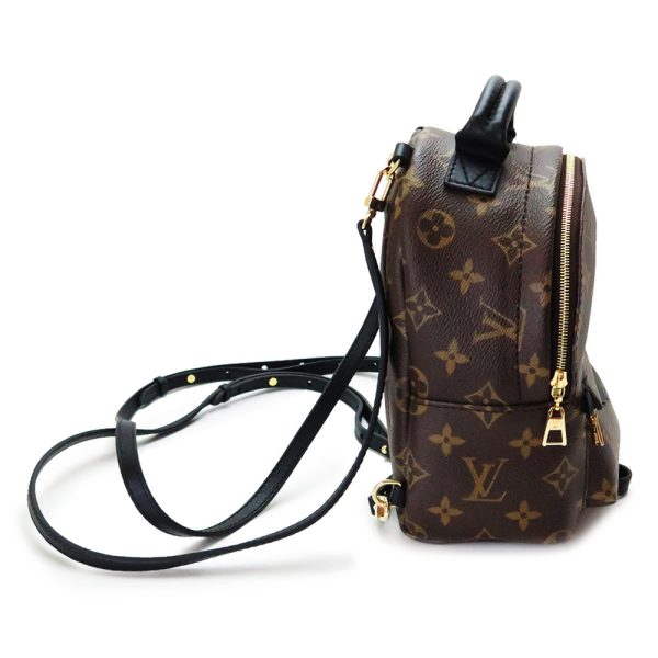 2 Louis Vuitton Rucksack PalmSprings Backpack Mini Monogram