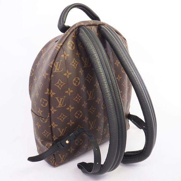 2 Louis Vuitton Palm Springs Backpack MM Monogram