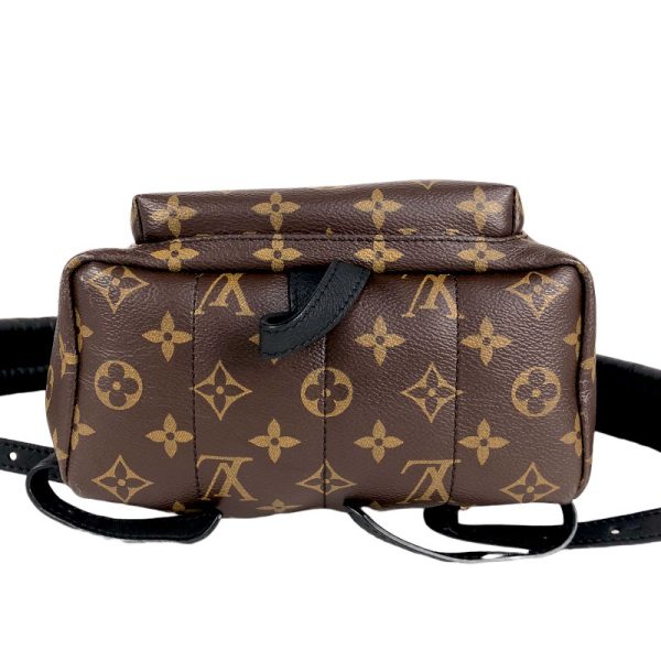 4 Louis Vuitton Palm Springs Backpack PM Monogram