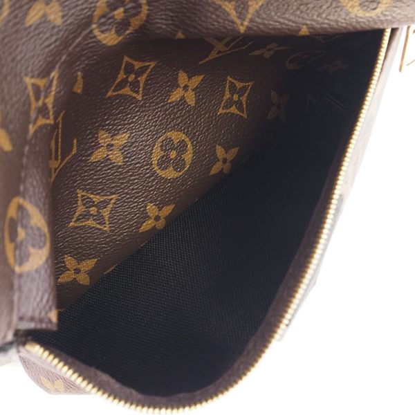 4 Louis Vuitton Palm Springs Backpack MM Monogram