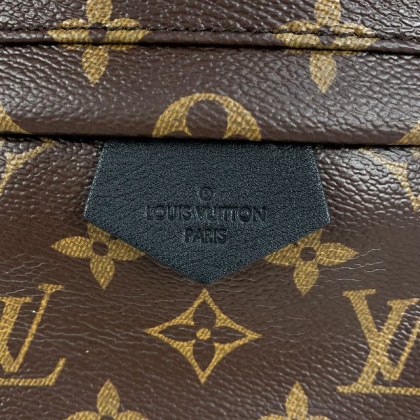 5 Louis Vuitton Palm Springs Backpack PM Monogram