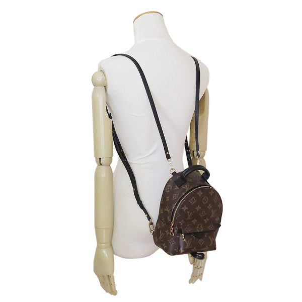 6 Louis Vuitton Rucksack PalmSprings Backpack Mini Monogram