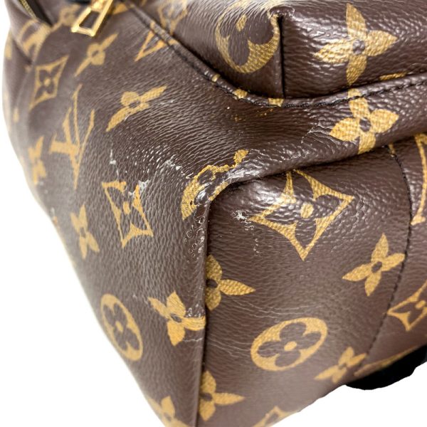 6 Louis Vuitton Palm Springs Backpack PM Monogram