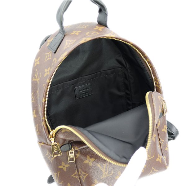 6 Louis Vuitton Palm Springs Backpack Monogram Brown