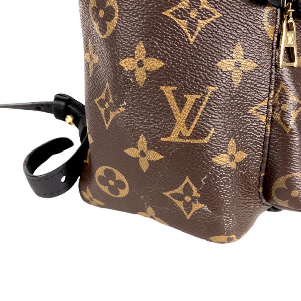 7 Louis Vuitton Palm Springs Backpack PM Monogram