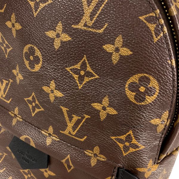 8 Louis Vuitton Palm Springs Backpack PM Monogram