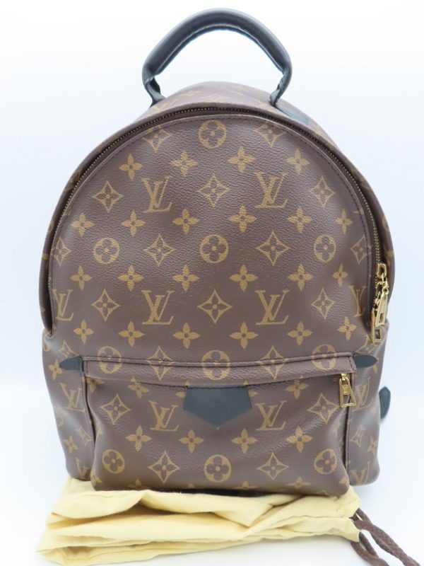 1 Louis Vuitton Palm Springs Backpack MM Rucksack Backpack Monogram