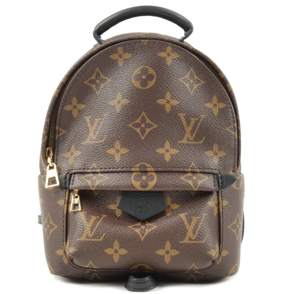 1 Louis Vuitton Monogram Palm Springs Backpack Mini Rucksack