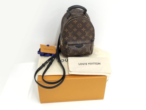 10 Louis Vuitton Rucksack Palm Springs Backpack Mini Monogram