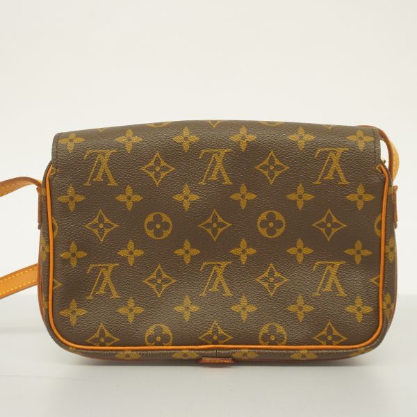 10 Louis Vuitton Shoulder Bag Monogram