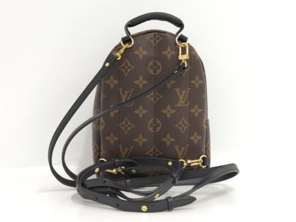 2 Louis Vuitton Rucksack Palm Springs Backpack Mini Monogram