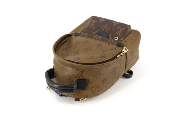 4 Louis Vuitton Palm Springs Mini Mini Backpack Monogram Reverse