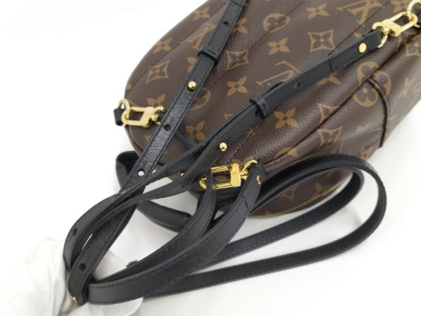 6 Louis Vuitton Rucksack Palm Springs Backpack Mini Monogram