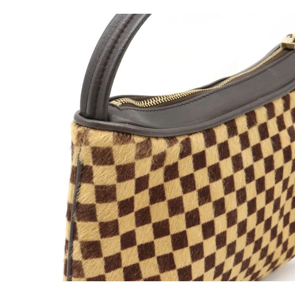 7 Louis Vuitton Damier Sauvage Tiger Mini Handbag Harako Leather