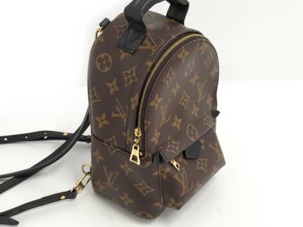 7 Louis Vuitton Rucksack Palm Springs Backpack Mini Monogram