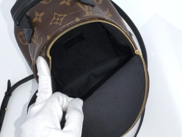 9 Louis Vuitton Rucksack Palm Springs Backpack Mini Monogram