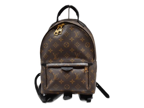 imgrc0078660663 Louis Vuitton Palm Springs Backpack PM Monogram Rucksack