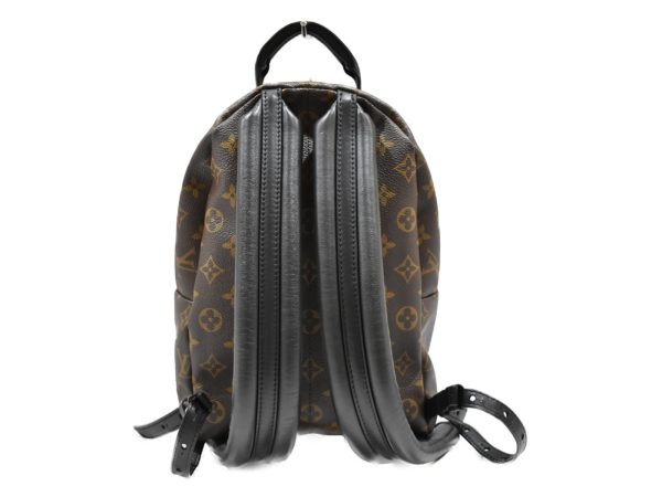 imgrc0078660664 Louis Vuitton Palm Springs Backpack PM Monogram Rucksack