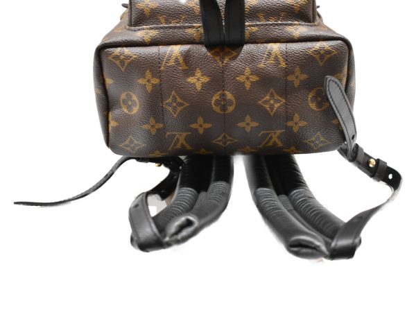 imgrc0078660667 Louis Vuitton Palm Springs Backpack PM Monogram Rucksack