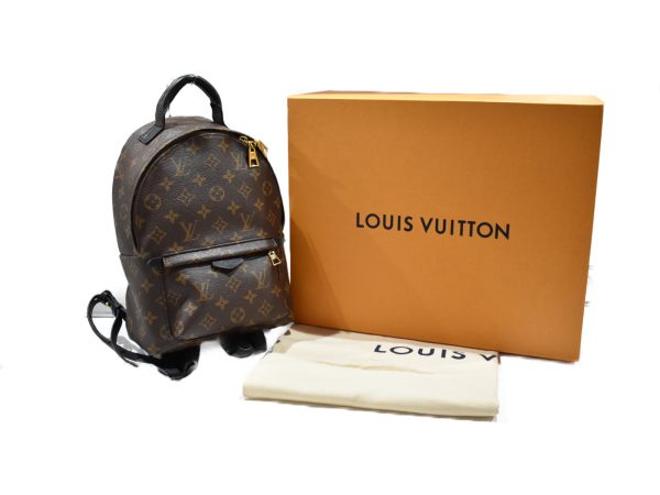 imgrc0078660678 Louis Vuitton Palm Springs Backpack PM Monogram Rucksack