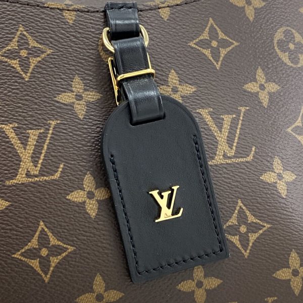 m45353 06 Louis Vuitton Crossbody Odeon NM PM Monogram Shoulder Bag