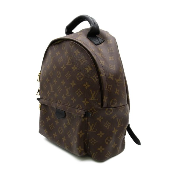 2101217163552 2 Louis Vuitton Palm Springs Backpack MM Rucksack Bag