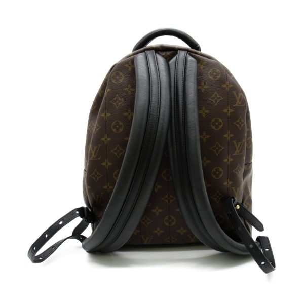 2101217163552 3 Louis Vuitton Palm Springs Backpack MM Rucksack Bag