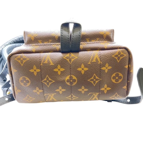 7 Louis Vuitton Palm Springs PM Monogram