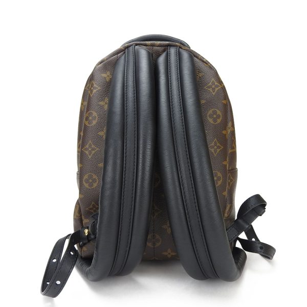 b a40168 3 Louis Vuitton Rucksack Palm Springs Backpack PM Monogram