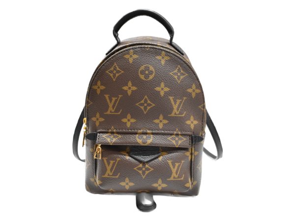 imgrc0092548654 Louis Vuitton Palm Springs Backpack Mini Monogram