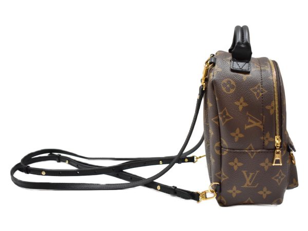 imgrc0092548655 Louis Vuitton Palm Springs Backpack Mini Monogram