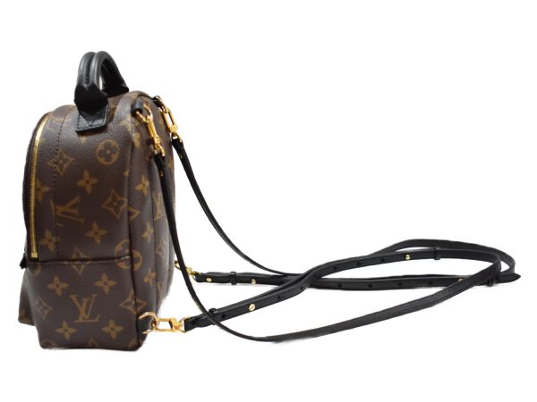 imgrc0092548656 Louis Vuitton Palm Springs Backpack Mini Monogram