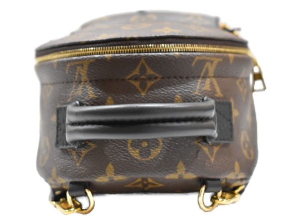 imgrc0092548659 Louis Vuitton Palm Springs Backpack Mini Monogram