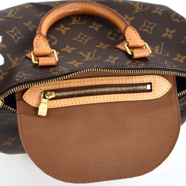 imgrc0096054240 Louis Vuitton Bag Ladies Speedy 25 Monogram Handbag Mini