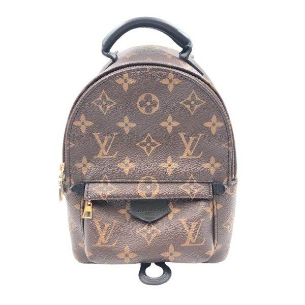 1 Louis Vuitton Palm Springs Mini Backpack Daypack