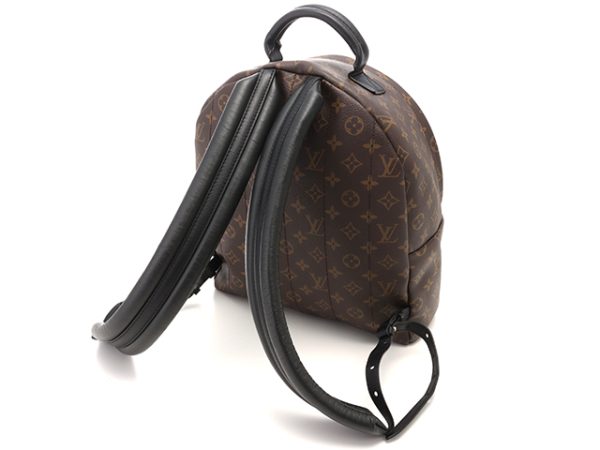 2 Louis Vuitton Palm Springs Backpack MM