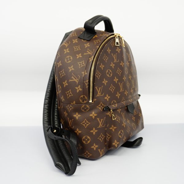 2 Louis Vuitton Rucksack Monogram Palm Spring MM Backpack