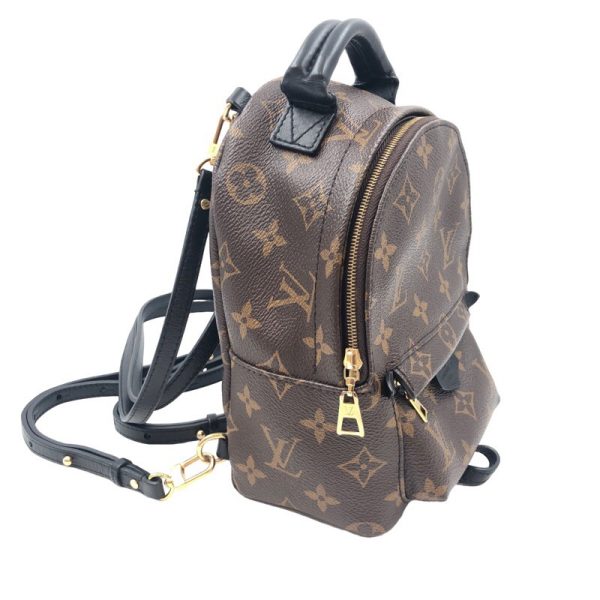 2 Louis Vuitton Palm Springs Mini Backpack Daypack