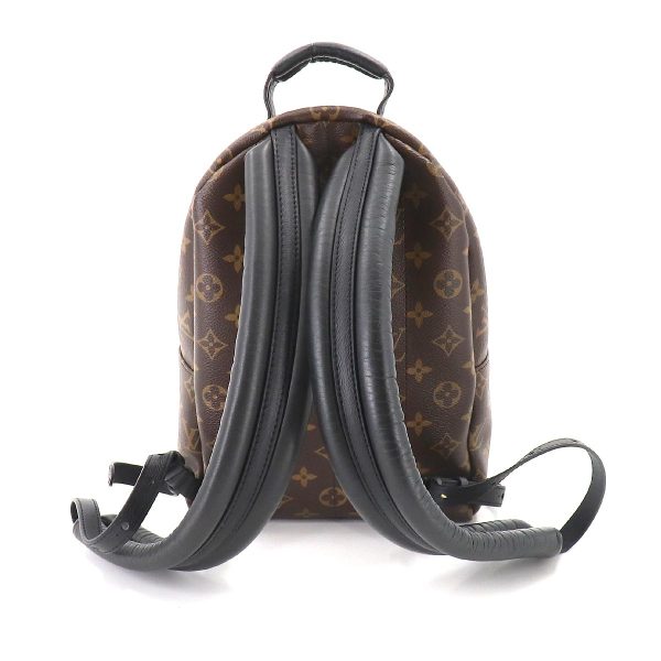 2 Louis Vuitton Monogram Palm Springs Backpack PM Backpack Brown