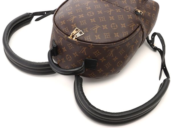 4 Louis Vuitton Palm Springs Backpack MM