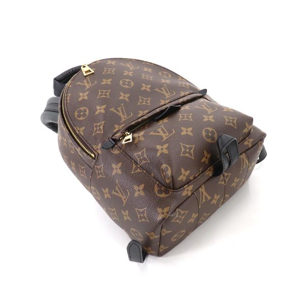 4 Louis Vuitton Monogram Palm Springs Backpack PM Backpack Brown