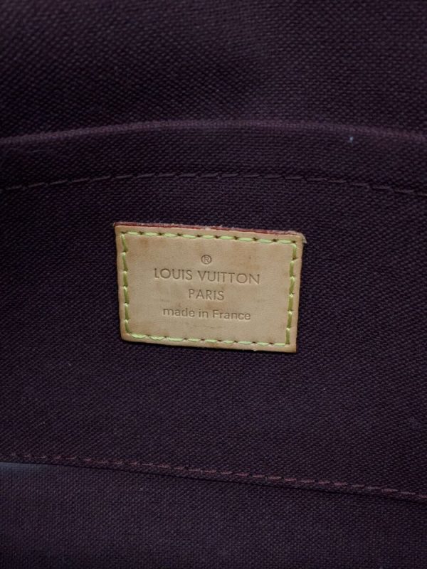 5 Louis Vuitton Favorite Pm Monogram Shoulder Bag