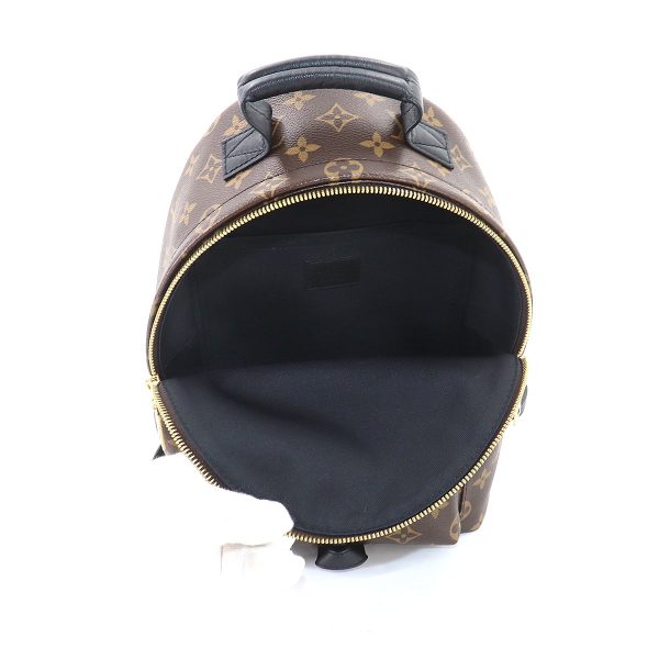 5 Louis Vuitton Monogram Palm Springs Backpack PM Backpack Brown